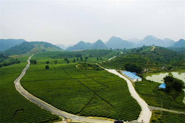 清遠(yuǎn)管理咨詢機(jī)構(gòu)的定制化服務(wù)方面包含哪些內(nèi)容？