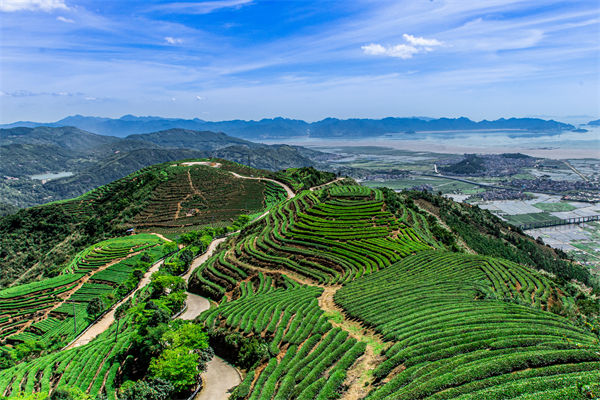 福州集團(tuán)管控咨詢公司如何強化集團(tuán)集權(quán)與分權(quán)平衡？