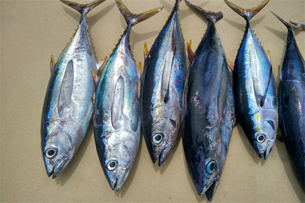 商務(wù)部：將幫助外貿(mào)企業(yè)擴(kuò)寬內(nèi)銷渠道，政策解讀！