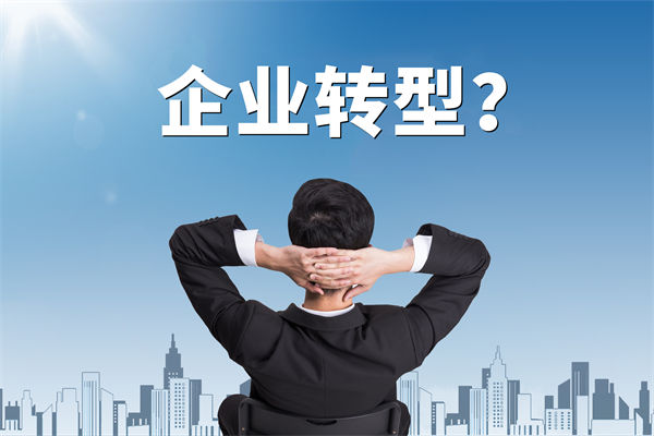 企業(yè)轉(zhuǎn)型無(wú)方向，數(shù)智化咨詢公司能否指引明路？